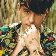 Patrick Wolf 