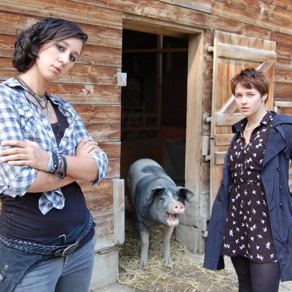 Trüffelschweine
