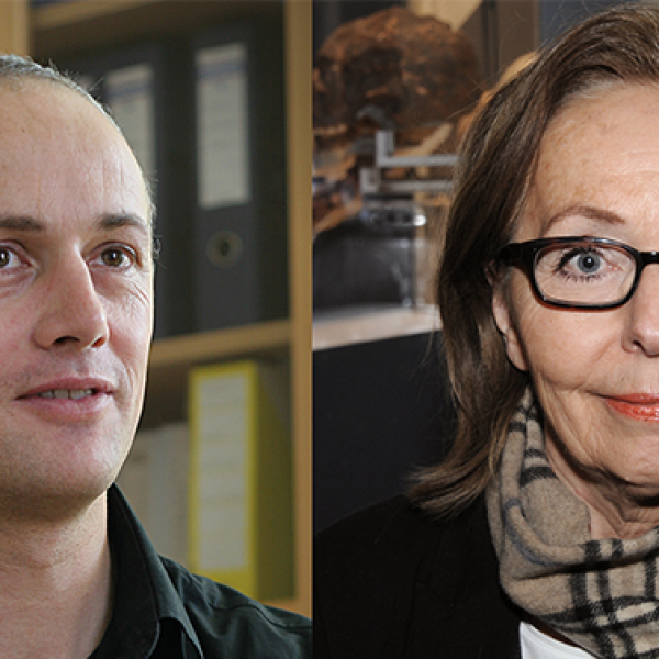 © www.gmi.eu, NHM Alice Schumacher Am Puls 43