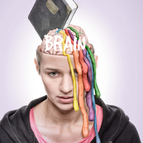 Brain