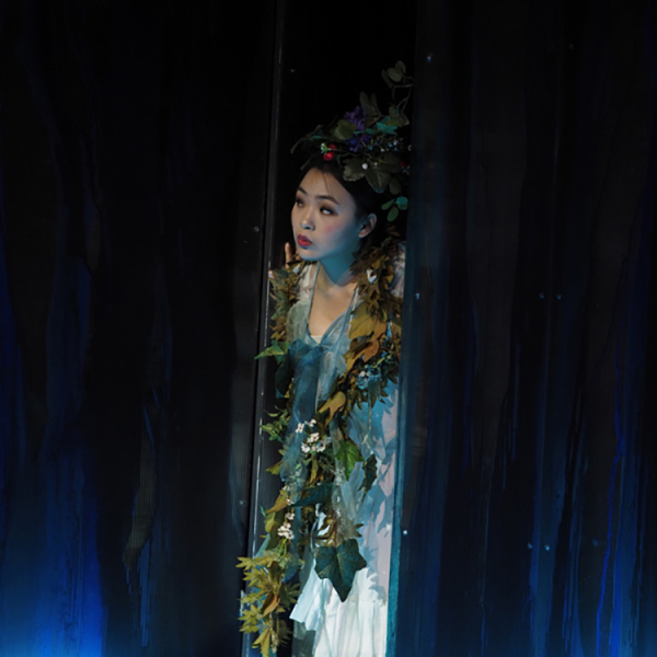 © Armin Bardel A Midsummer Night s Dream