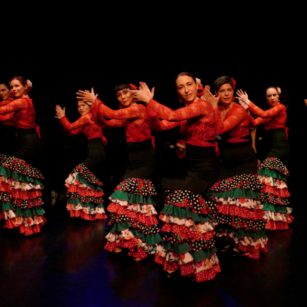 © Archiv Theater Akzent 20 Jahre Academia Flamenca Wien