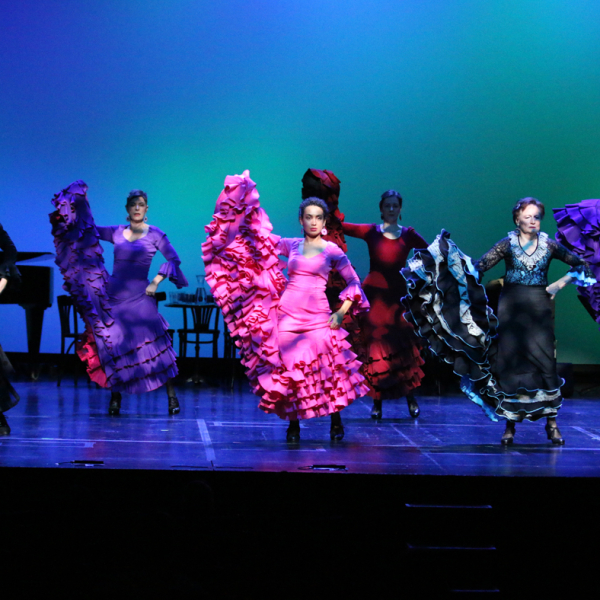 © Michaela Trbanos La Noche Mágica – Flamenco