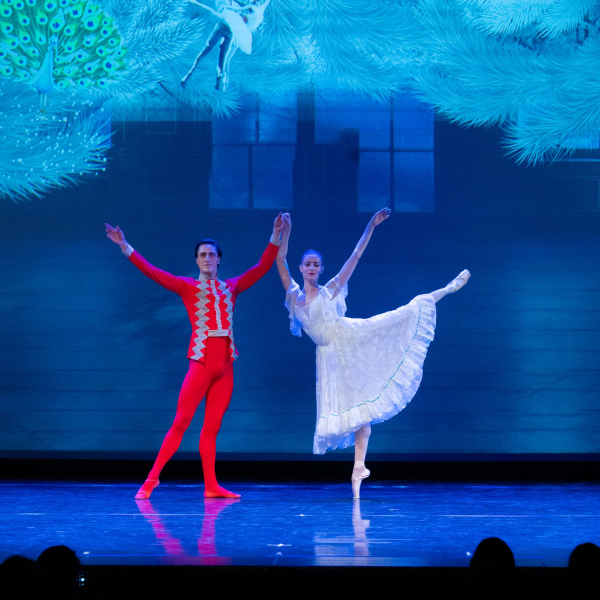 Der Nussknacker - Ballettschule Danceworld