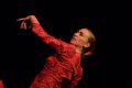 Al Andalus - Flamenco -  © Thomas Heinzinger