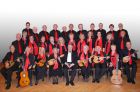 Neues Favoritner Mandolinenorchester -  &copy; Günter Mühlbauer