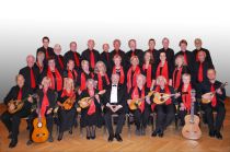 Neues Favoritner Mandolinenorchester - © Günter Mühlbauer Neues Favoritner Mandolinenorchester - © Günter Mühlbauer