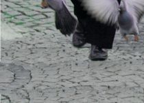 FlugPunkt - © Archiv Theater Akzent FlugPunkt - © Archiv Theater Akzent