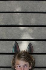 Die besseren Wälder -  &copy; Daniel Karanitsch