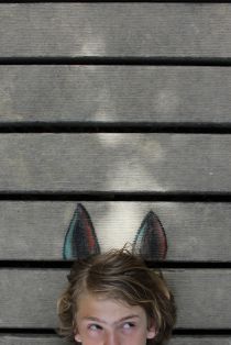 Die besseren Wälder -  &copy; Daniel Karanitsch