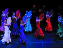 Fiesta Flamenca 2013 -  &copy; Archiv Theater Akzent