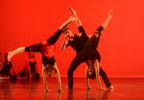 No Business like -  &copy; Archiv Theater Akzent