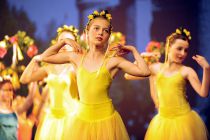 Wizard of Oz - © Bernhard Fritsch Wizard of Oz - © Bernhard Fritsch