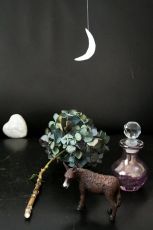 Ein Sommernachtstraum -  &copy; Ensemble Imp:Art