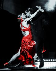 The Great Dance of Argentinia -  &copy; Wolfgang Vogt