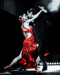 The Great Dance of Argentinia - © Wolfgang Vogt The Great Dance of Argentinia - © Wolfgang Vogt