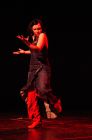 Al Andalus - Flamenco - Julia Petschinka © Archiv Theater Akzent