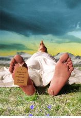 Hotel Paradiso -  &copy; Silke Meyer