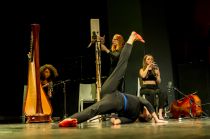 Fidelio Kreation -  &copy; Wolfgang Simlinger