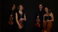 Mark Seibert & Streichquartett Sonare - Streichquartett Sonare © Archiv Theater Akzent